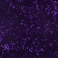 belenco 1043 magic purple